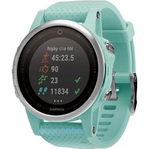Garmin fÄ“nix 5S Sapphire | CellphoneS.com.vn