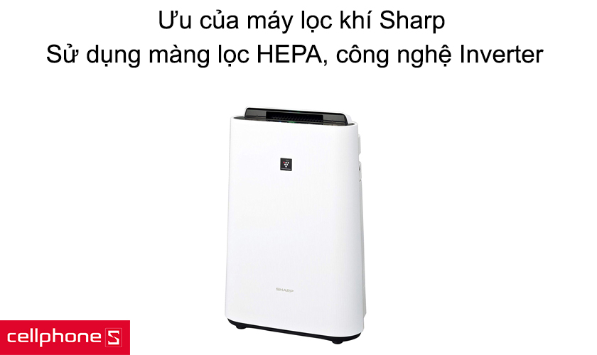 Ưu điểm