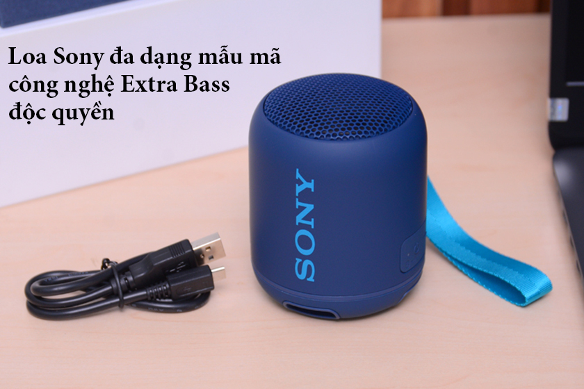 loa-bluetooth-chinh-hang-5 Loa bluetooth sony