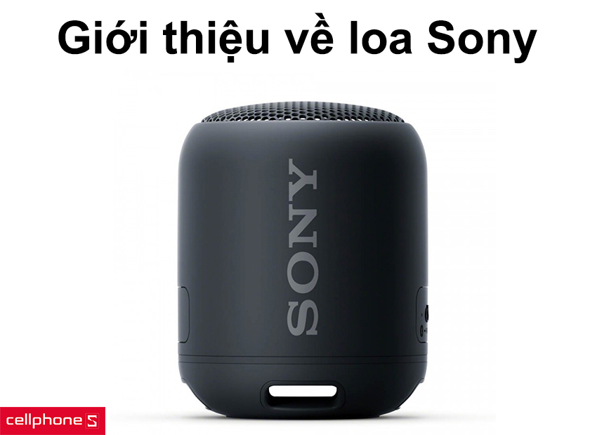 loa-sony-chinh-hang-gia-re-bh-12-thang-hinh1 Giới thiệu về loa sony